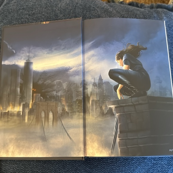 The Wren in the Holly Library-hard copy- sprayed edges - Picture 6 of 7